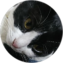 蘇芳SUOU profile picture